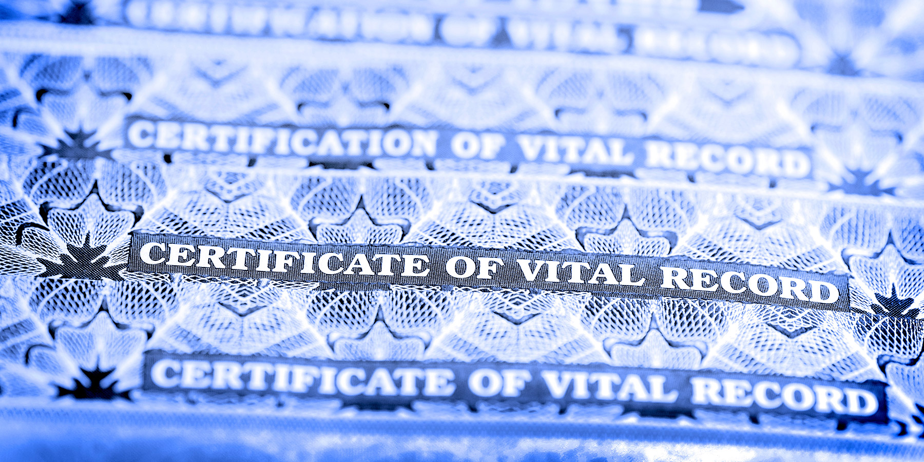 Home 6 Stack of vital record certificates